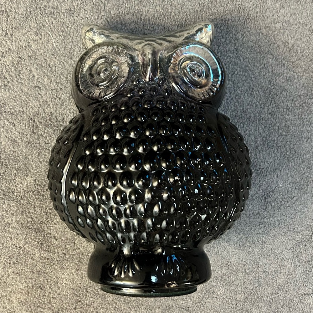 Ombré Owl Decor